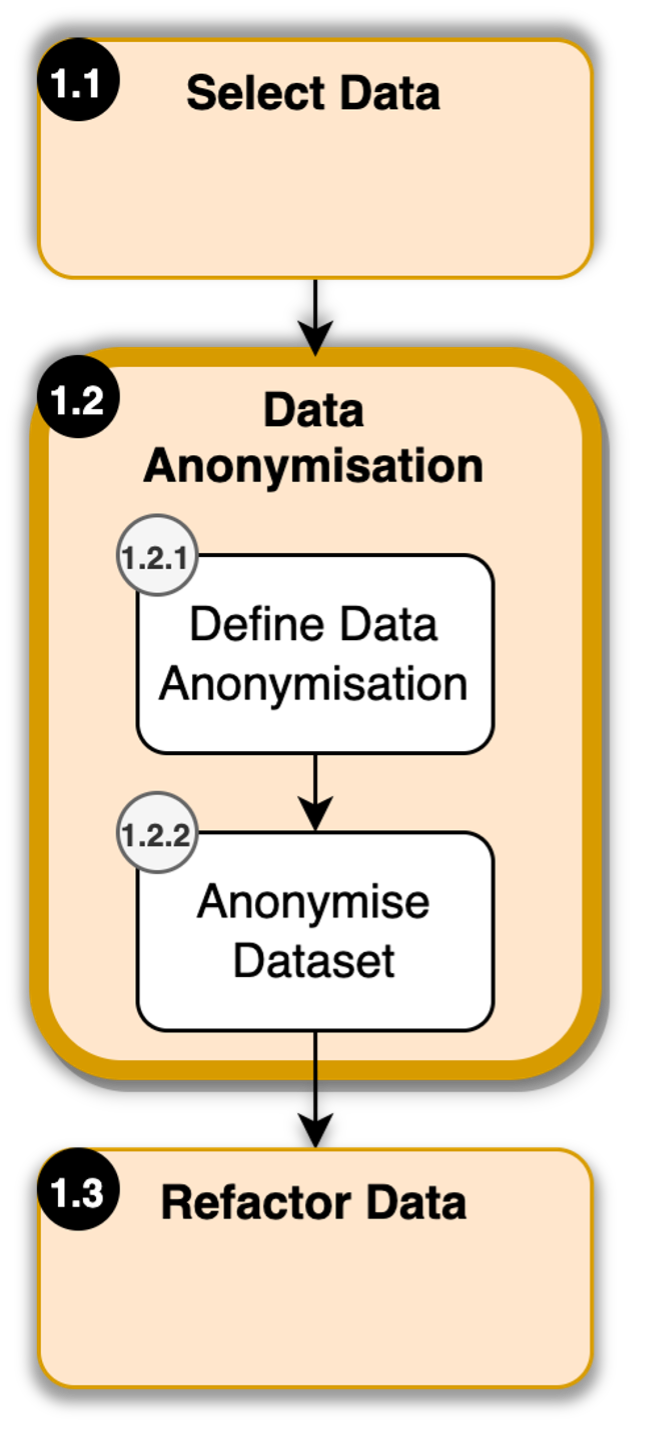 Data Anonymisation during data pre-processing