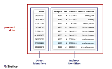 Example of Direct and Indirect Identifiers